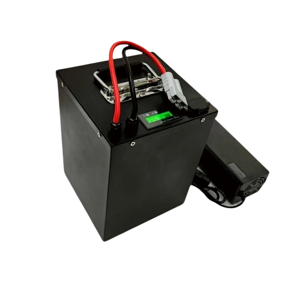 Batteria al litio lifepo4 60V  - 72V 40Ah Lifepo4 Battery Pack recensione e prezzo